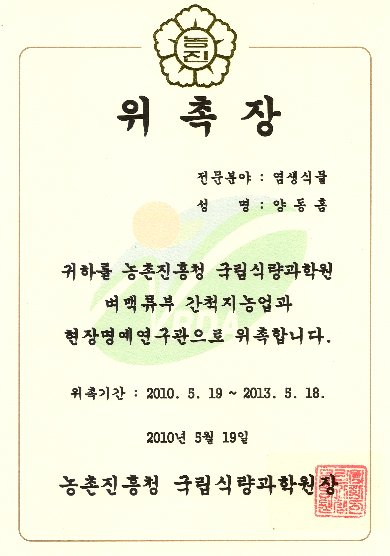 신안함초